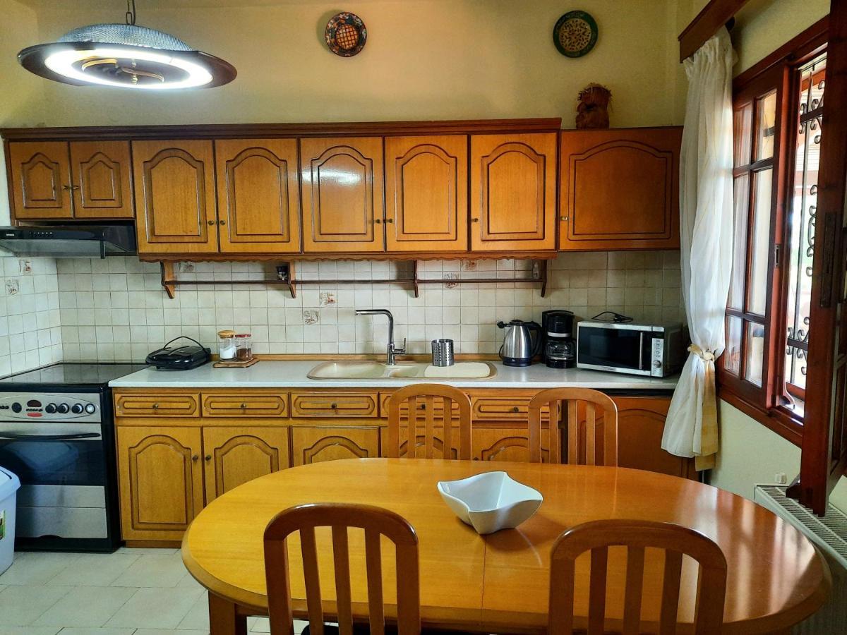 아기아 파라스케비 House With View 빌라 외부 사진